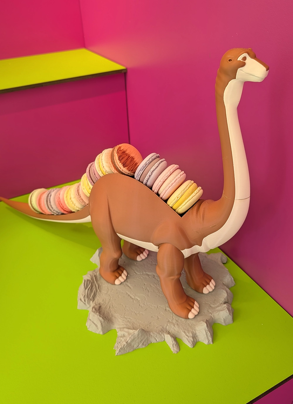 Présentoir dinosaure, vue 2