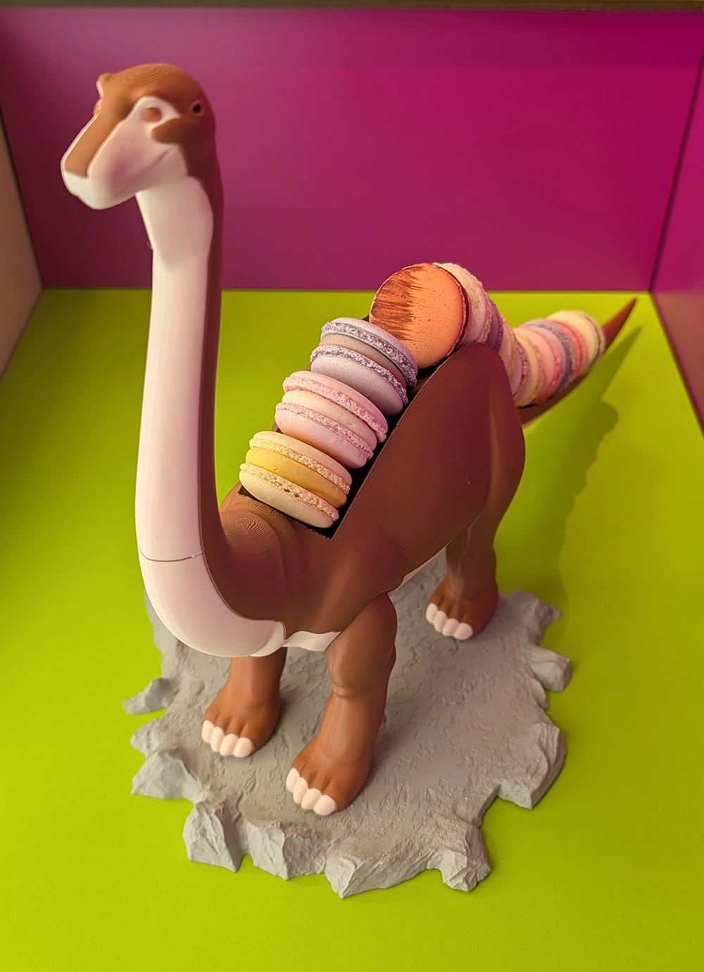 Présentoir dinosaure, vue 3